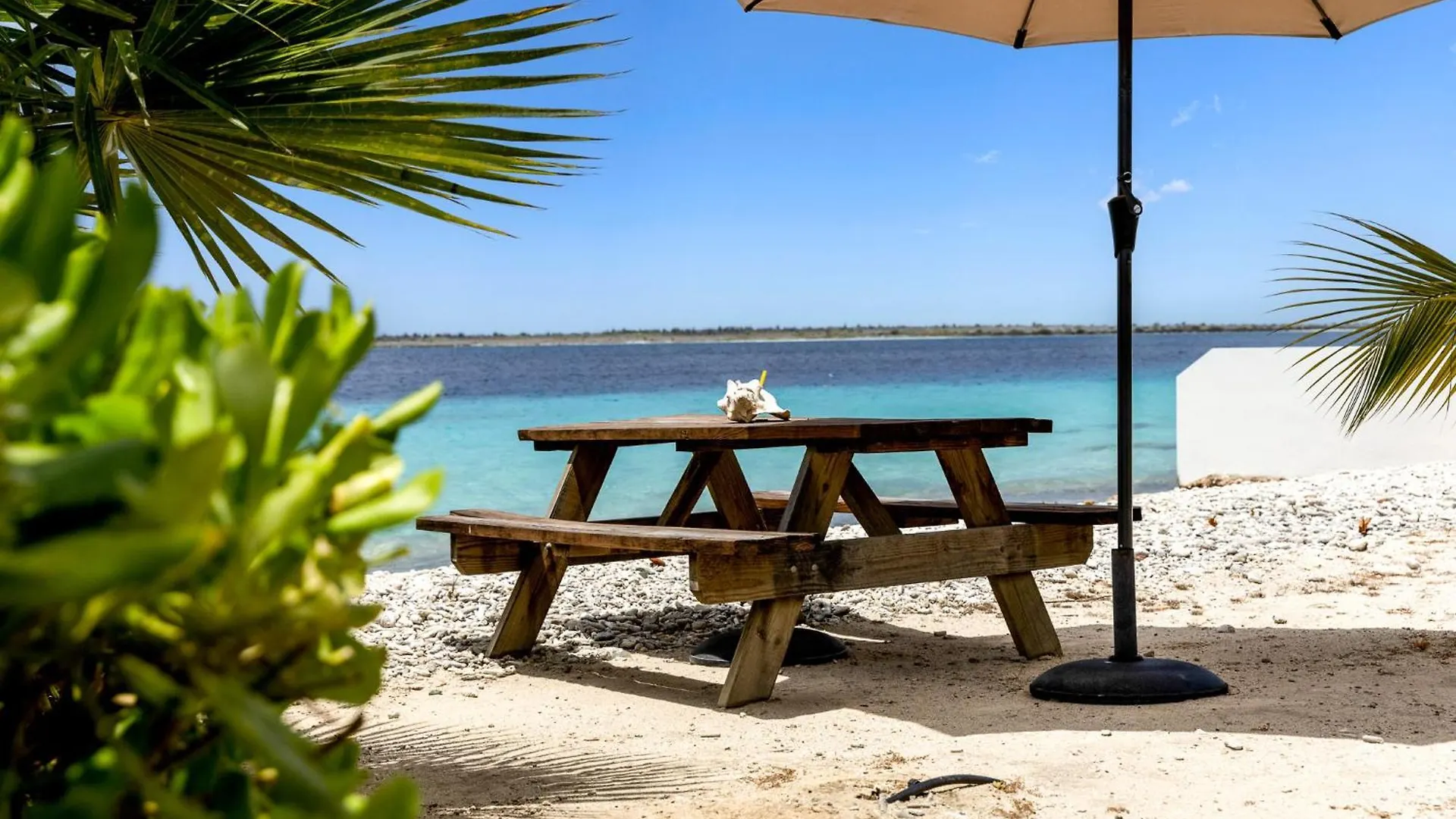 Oceanfront - Villa Port Of Call - Kralendijk  0*, Kralendijk (Bonaire)
